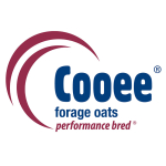 Cooee Oats (square)