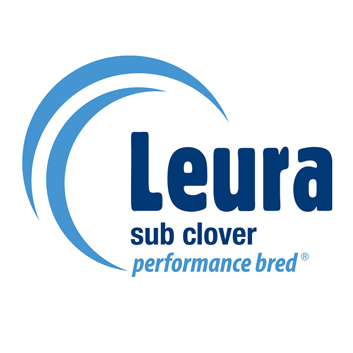 Leura Sub Clover (square)
