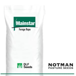 Mainstar Forage Brassica Notman Pasture Seeds Australia mainstar-forage-brassica-notman-pasture-seeds-australia