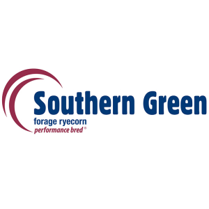 Southern Green Forage Ryecorn - Notman Pasture Seeds