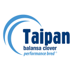 Taipan Balansa Clover (square)