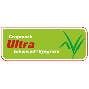 Ultra Enhanced Ryegrass - Notman Pasture Seeds