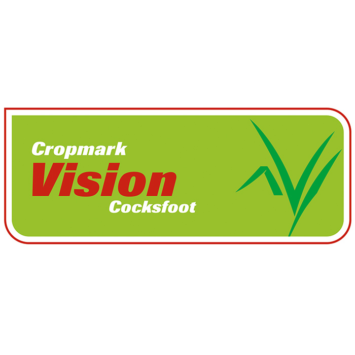 Vision Cocksfoot - Notman Pasture Seeds