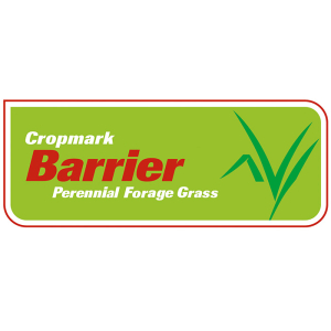 Barrier Perennial Ryegrass - Notman Pasture Seeds