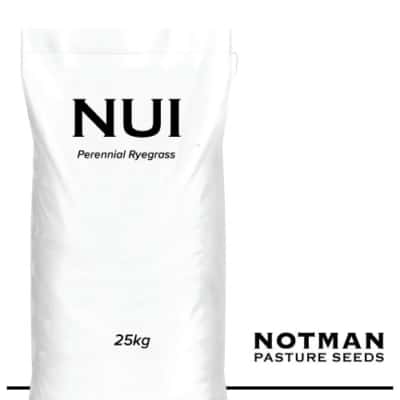 Nui Perennial Ryegrass