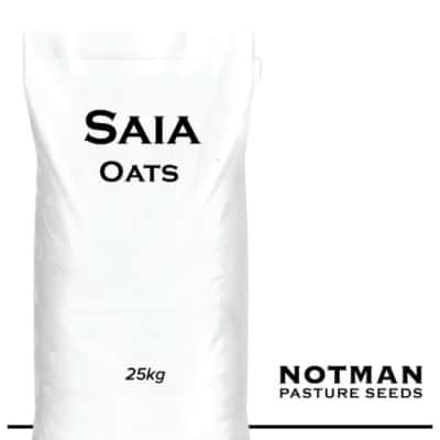 Saia Forage Oats