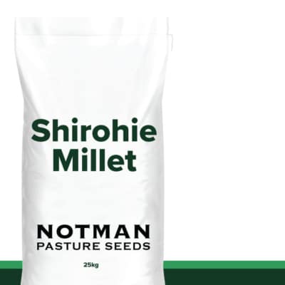 Shirohie Millet
