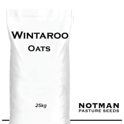 Wintaroo Oats