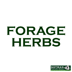 Forage Herbs