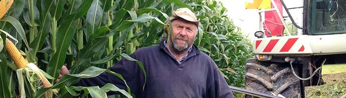 Ian Hooker - Pioneer Maize - Notman Pasture Seeds