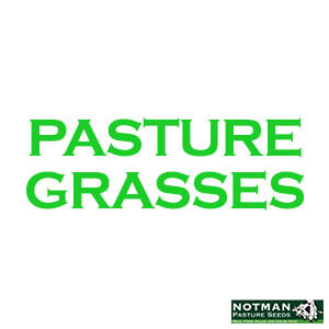 Pasture Grasses