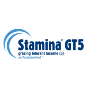 Stamina GT5 - Notman Pasture Seeds