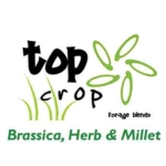 Top-Crop-Brassica-Herb-&-Millet