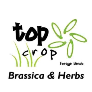 Top-Crop-Brassica-&-herbs