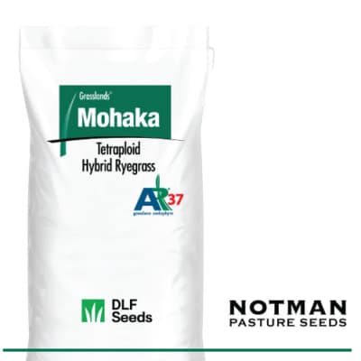 Mohaka AR37 Hybrid Ryegrass