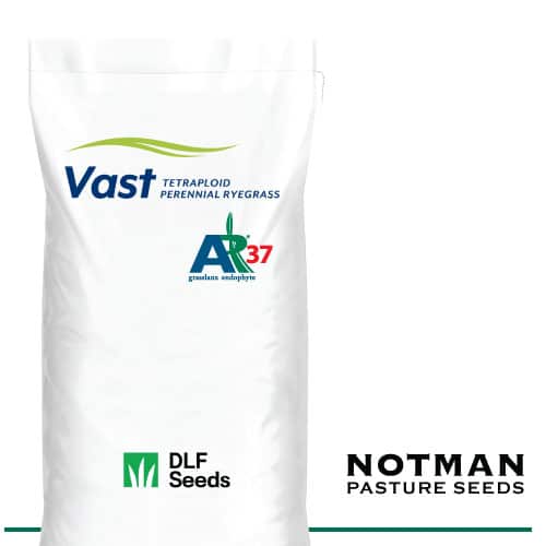 Vast-AR37-Notman-Pasture-Seeds