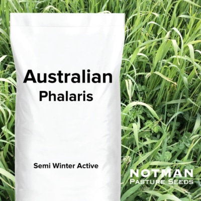 Australian Phalaris