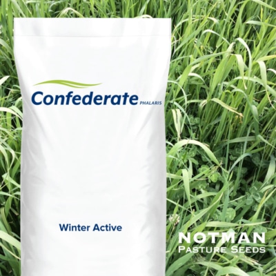 Confederate Phalaris