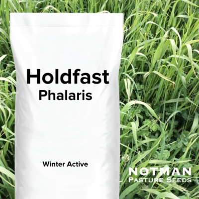 Holdfast Phalaris