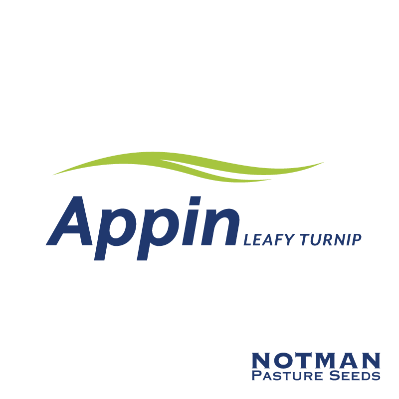Appin-Leafy-Turnip-Notman-Pasture-Seeds