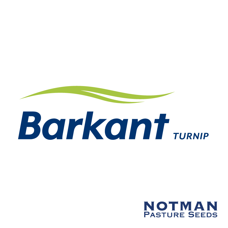 Barkant-Turnip-Notman-Pasture-Seeds