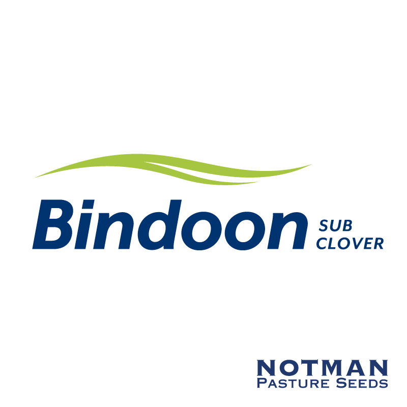 Bindoon-Sub-Clover-Notman-Pasture-Seeds