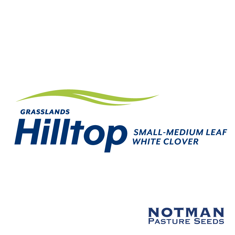 Hilltop-White-Clover-Notman-Pasture-Seeds