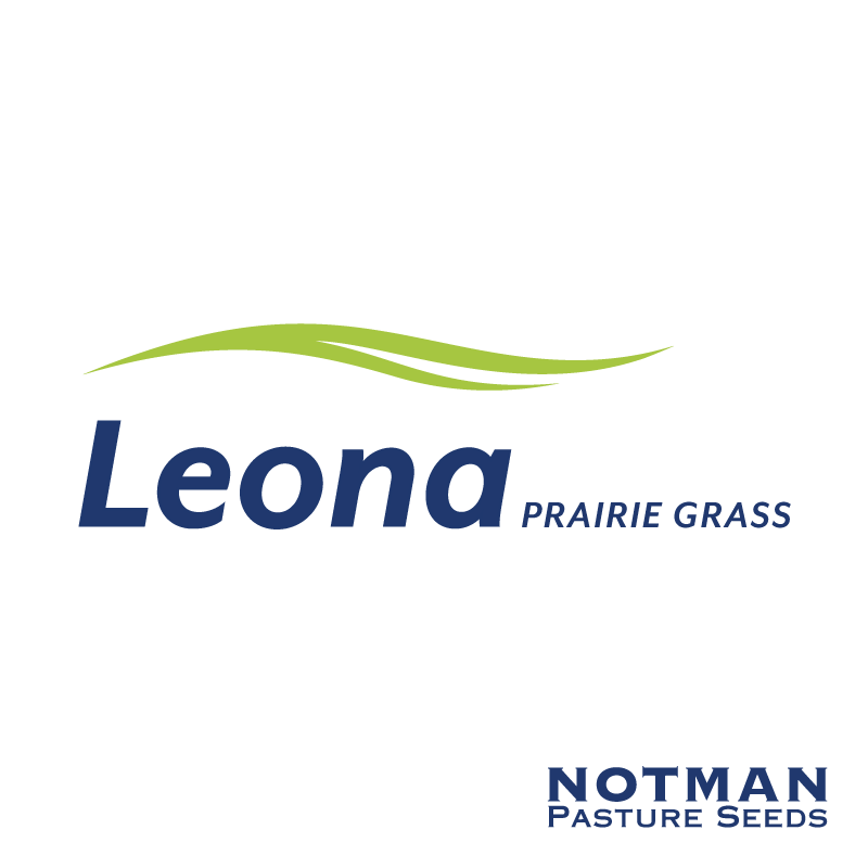 Leona-Prairie-Grass-Notman-Pasture-Seeds