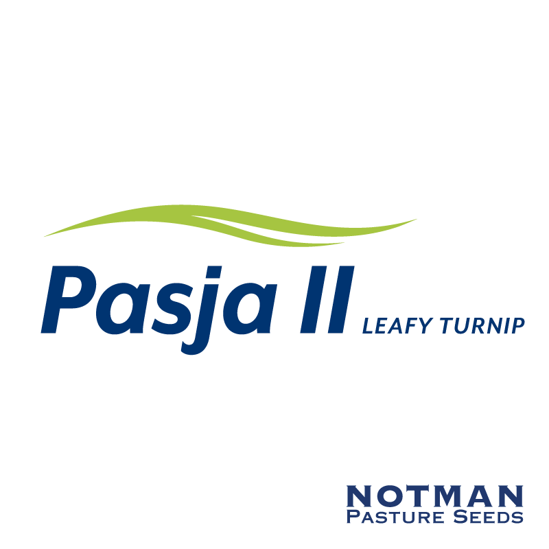Pasja-II-Leafy-Turnip-Notman-Pasture-Seeds
