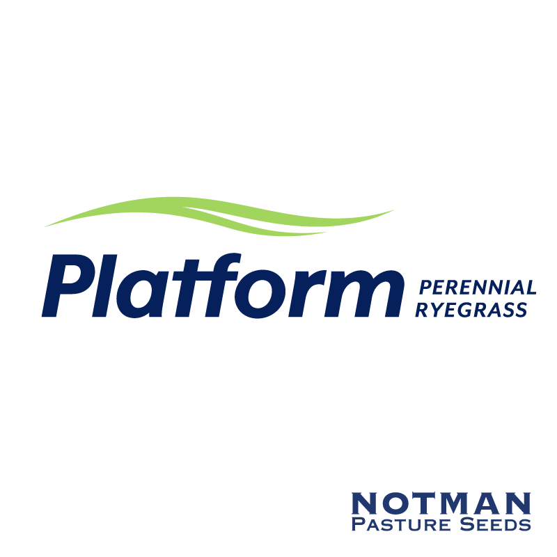 Platform-Ryegrass-Notman-Pasture-Seeds