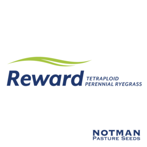 Reward-Endo5-Notman-Pasture-Seeds