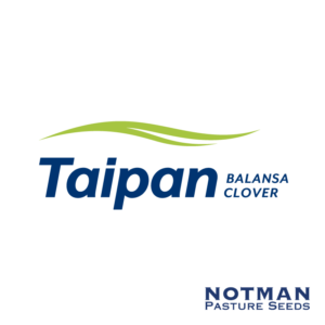 Taipan-Balansa-Clover-Notman-Pasture-Seeds