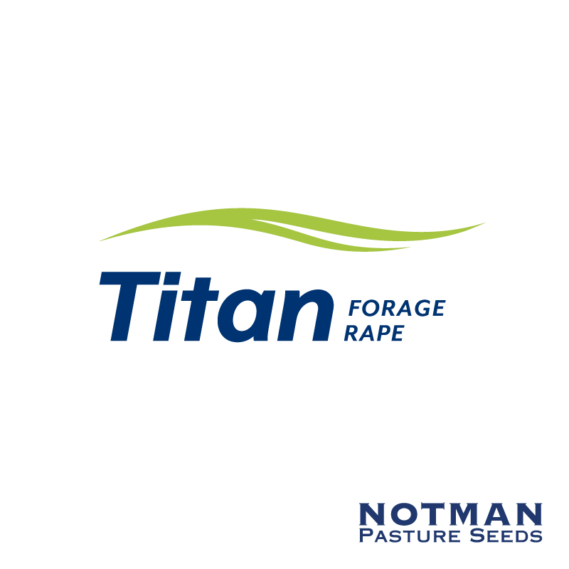 Titan-Forage-Rape-Notman-Pasture-Seeds
