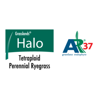 Halo-AR37-logo---illustrator
