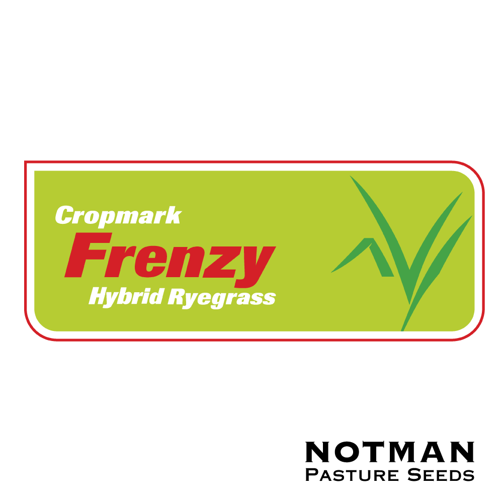 Frenzy-Hybrid-Ryegrass-Notman-Seeds
