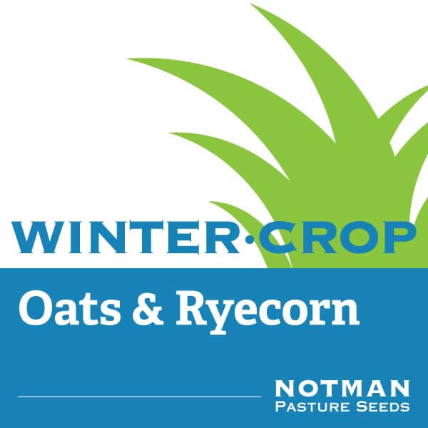 WinterCrop-Oats-Ryecorn-Notman-Pasture-Seeds