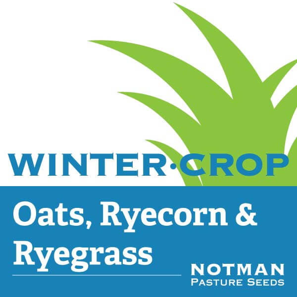 WinterCrop-Oats-Ryecorn-Ryegrass-Notman-Pasture-Seeds