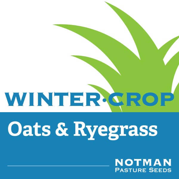 WinterCrop-Oats-and-Ryegrass-Notman-Pasture-Seeds