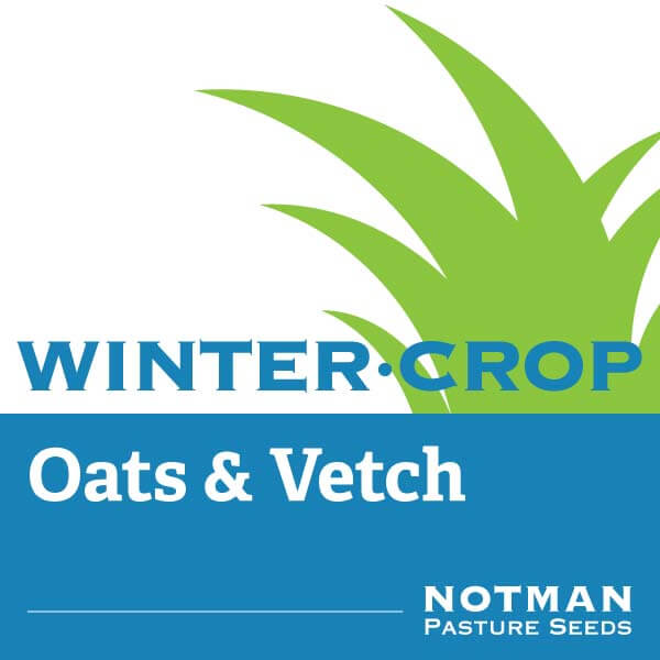 WinterCrop-Oats-and-Vetch-Notman-Pasture-Seeds