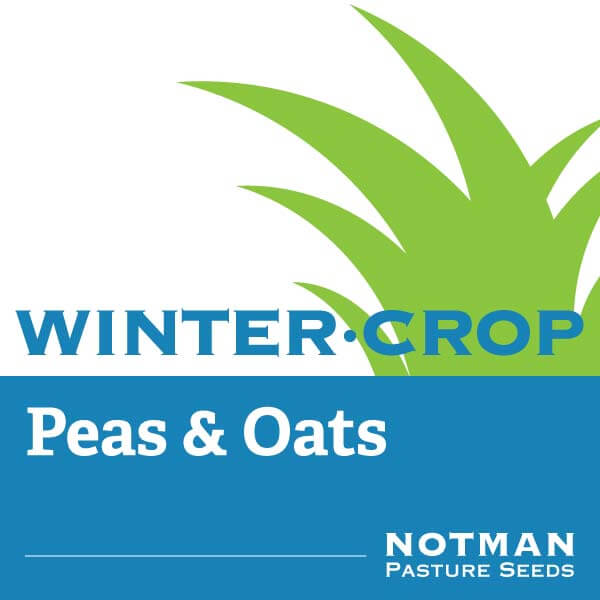 WinterCrop-Peas-and-Oats-Notman-Pasture-Seeds