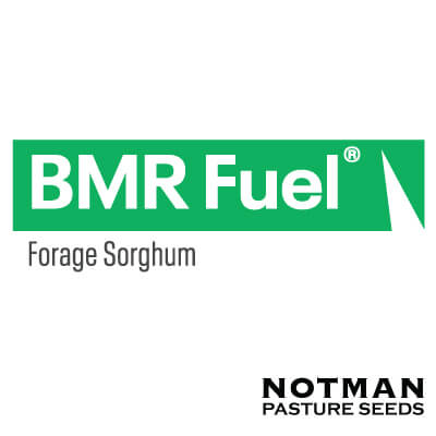 BMR-Fuel-Forage-Sorghum-Logo
