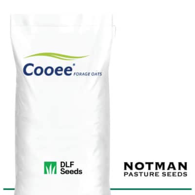 Cooee Forage Oats