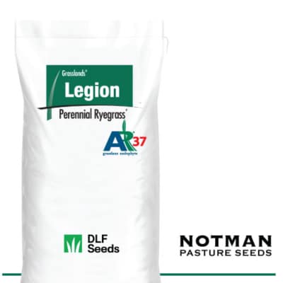 Legion AR37 Perennial Ryegrass