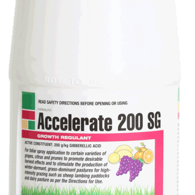 Accelerate-200SG-565 Accelerate-200SG-565