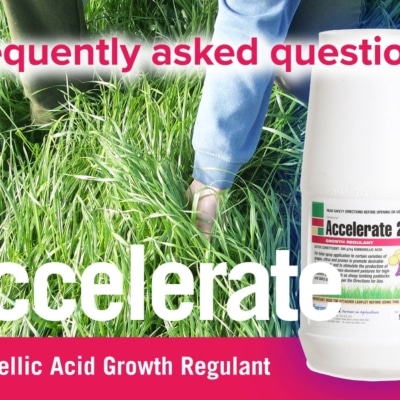 Accelerate-Gibb-Acid-flyer