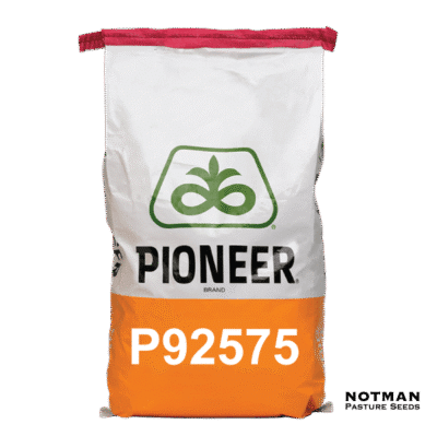 P92575 Pioneer Maize Hybrid