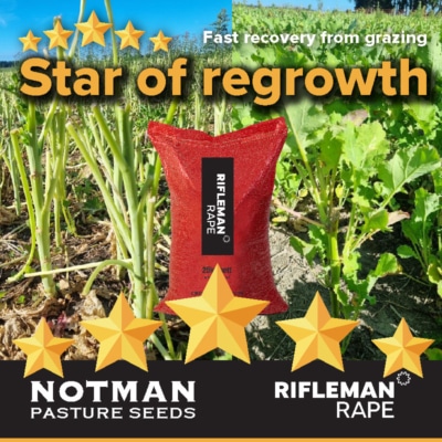 Rifleman Forage Rape