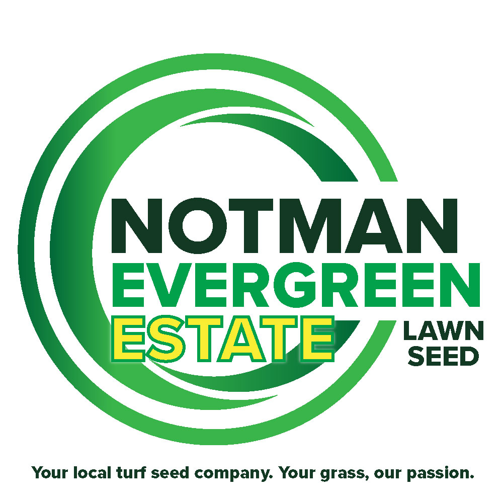 Notman-Evergreen-Estate-Lawn-Turf-Seed