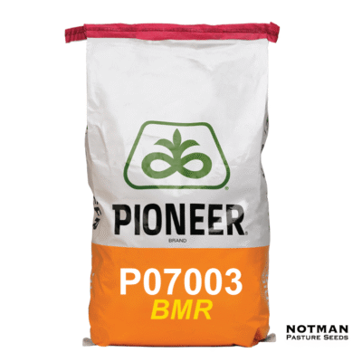 P07003 BMR Pioneer Maize Hybrid