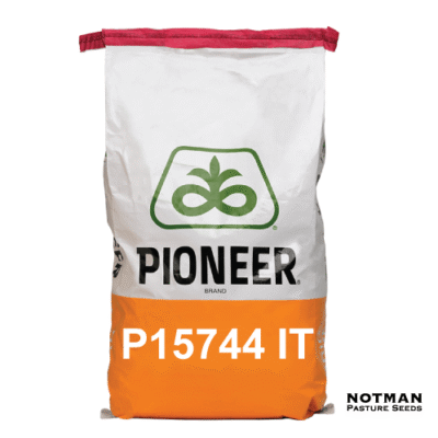 P15744-IT Pioneer Maize Hybrid